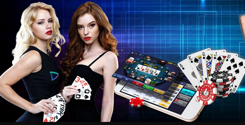 dieu khoan su dung 2 Điều khoản tham gia cá cược cùng BK8